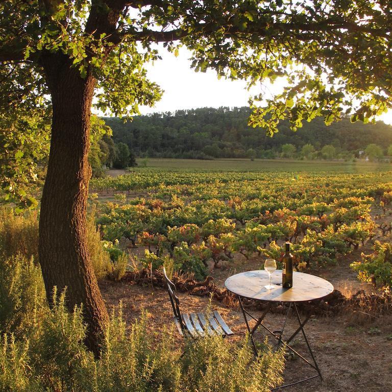 Les Pierres Sauvages Bed and Breakfast Besse-sur-Issole Buitenkant foto