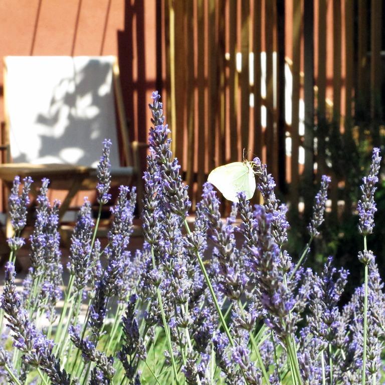 Les Pierres Sauvages Bed and Breakfast Besse-sur-Issole Buitenkant foto
